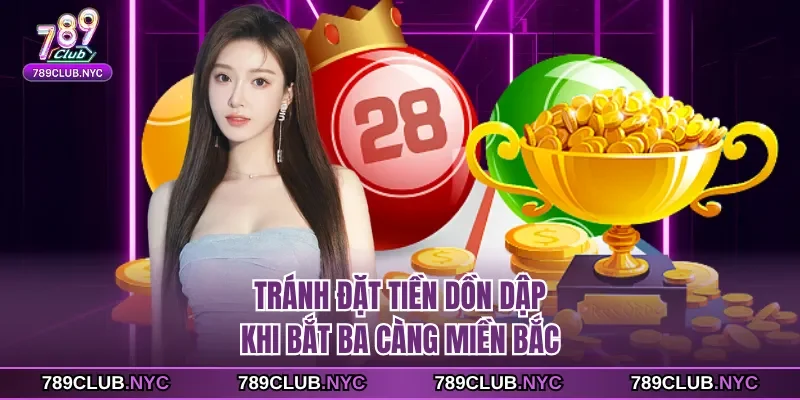 Tránh đặt tiền dồn dập khi bắt ba càng miền bắc